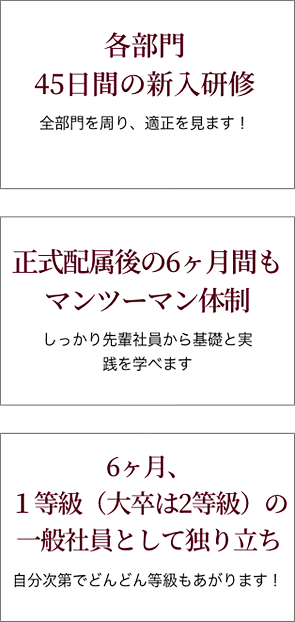 各部門3ヶ月の新入研修_配属後の１年間はマンツーマン体制_１年後、１等級（大卒は2等級）の一般社員として独り立ち